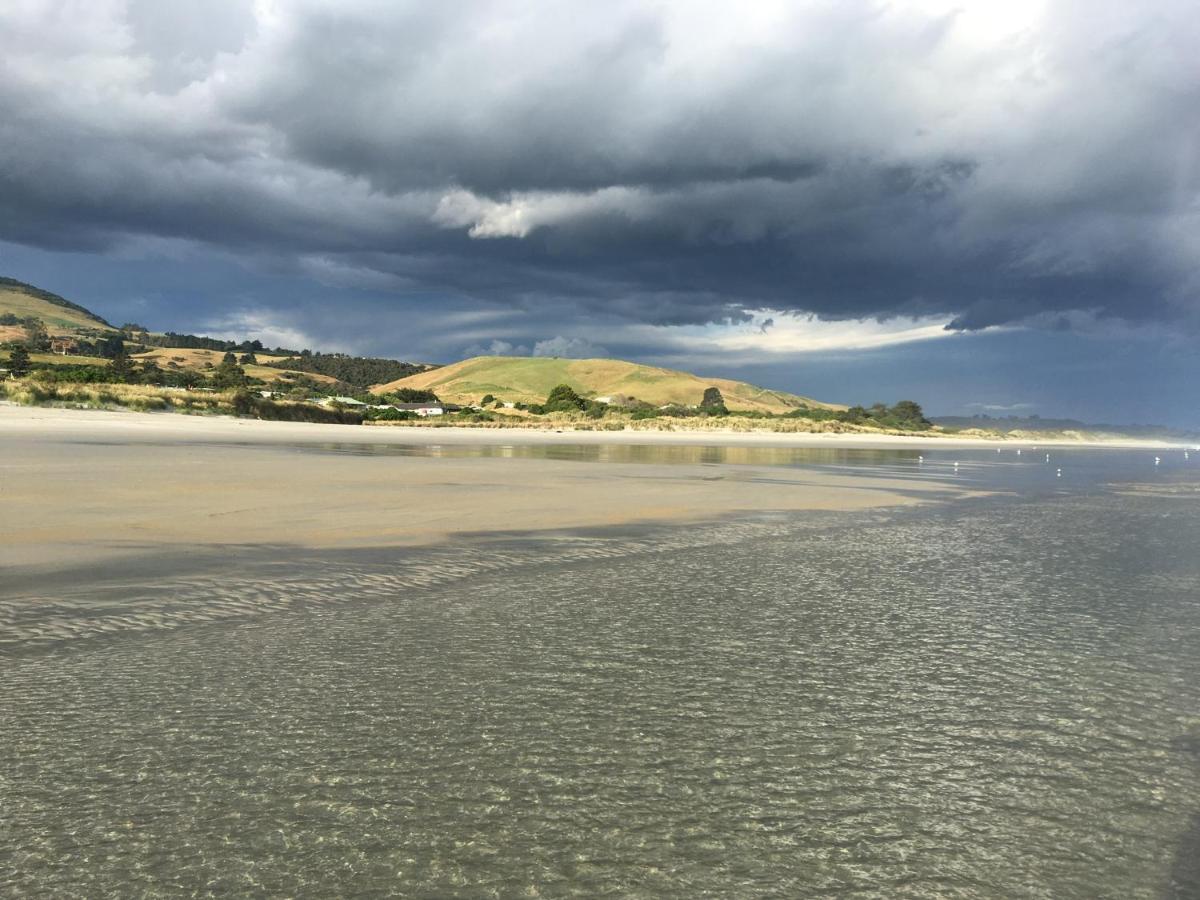 Stay In School By The Sea Dunedin Extérieur photo